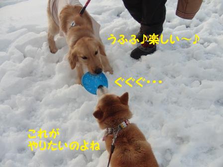 楽しい