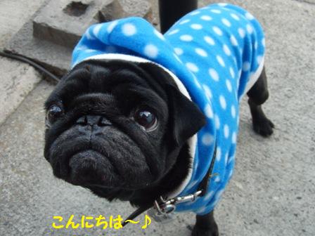 福造くん