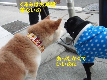 お洋服