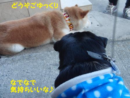 ごゆっくり