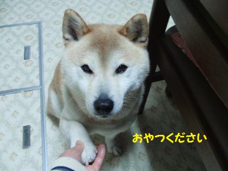 おやつ