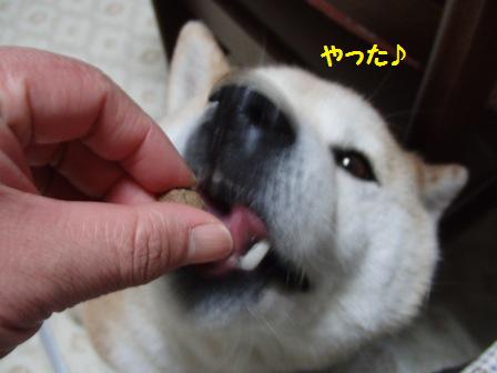 やった