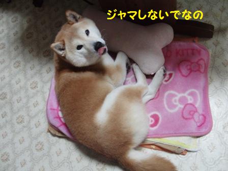 ジャマしないで