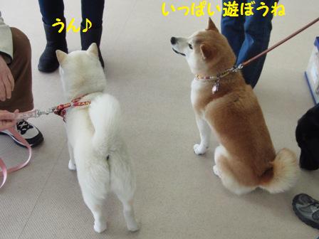 遊ぼうね