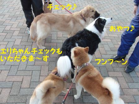 チェック