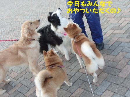 おやつ