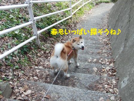 見つけようね