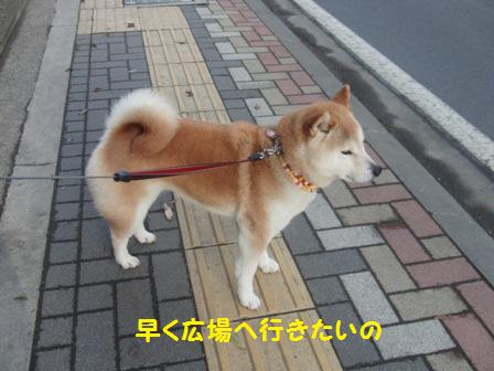 広場行きたい