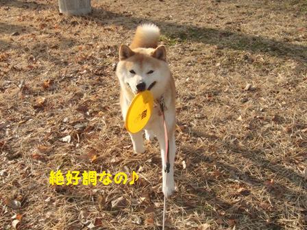 絶好調