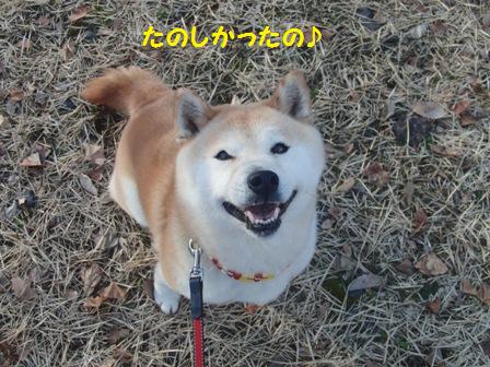 楽しかった