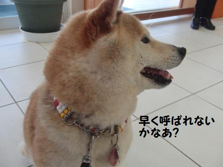 まだかな