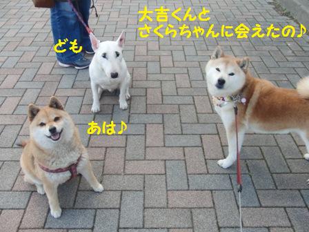 会えたの