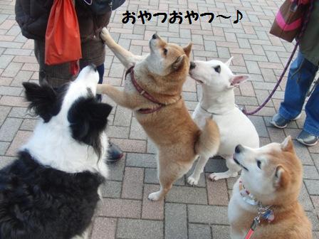 おやつ