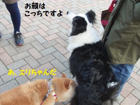 エリちゃん