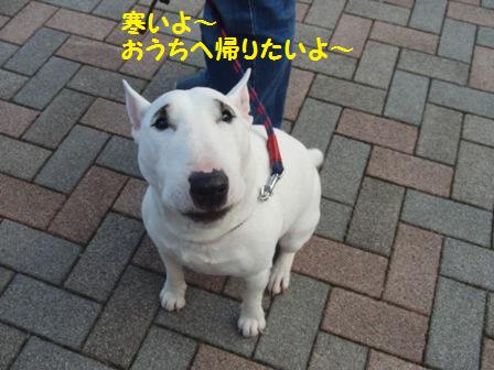 帰りたい