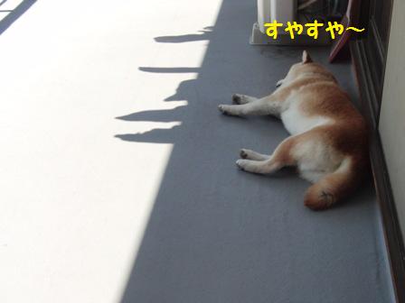 すやすや