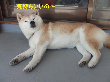 気持ちいいの