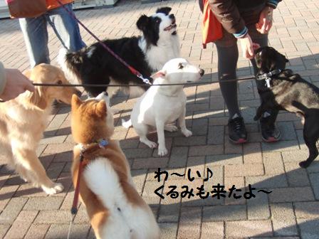 来たよ