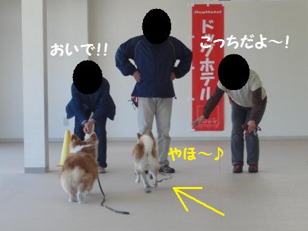 こっちだよ