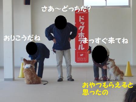 まっすぐ来てね