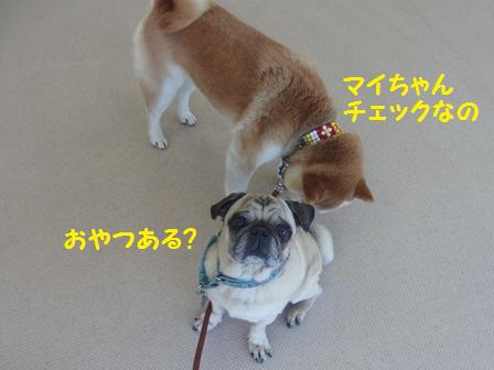 マイキー