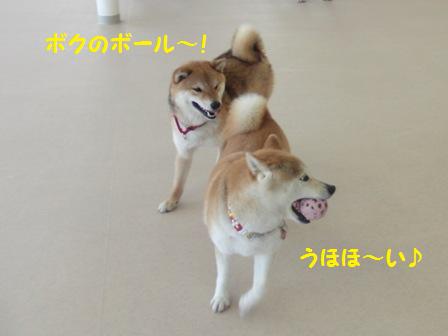 コタロウ