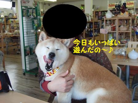 遊んだの