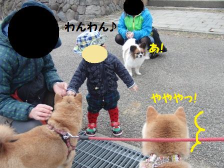 やややっ!