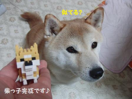 柴っ子