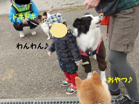 おやつ