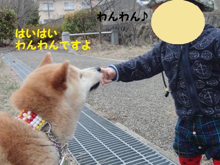 はいはい