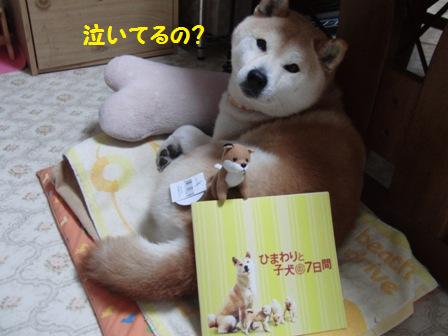 泣いてるの?