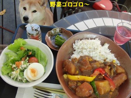 野菜ゴロゴロカレー