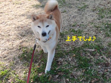 上手でしょ