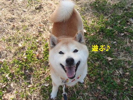 遊ぶ