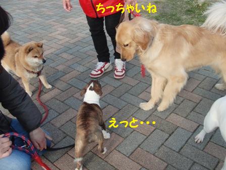 ちっちゃいね