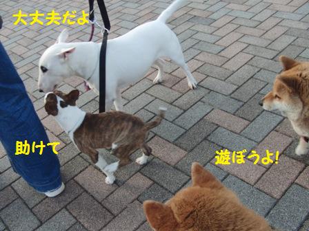 遊ぼう