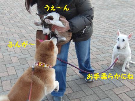 ふんが~