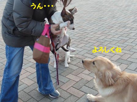 よろしくね