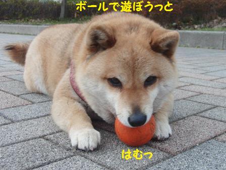 ボール