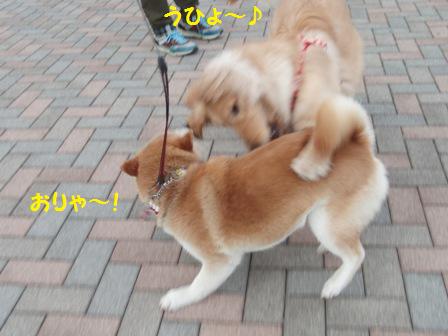 おりゃ~