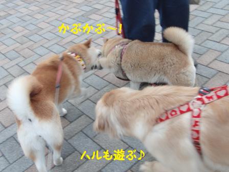 遊ぶ