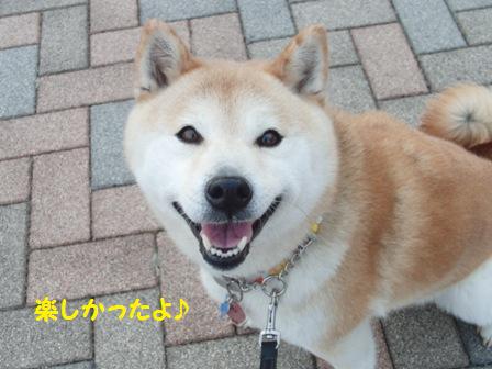 楽しかったよ