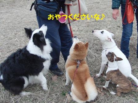 おやつ
