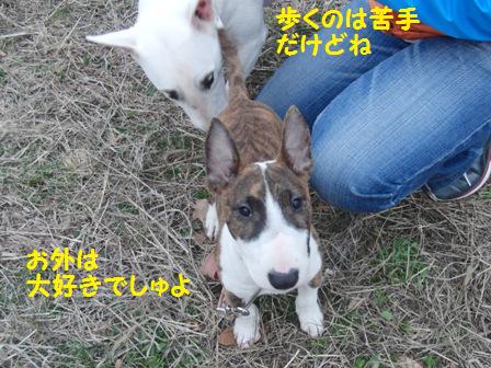 お外好き