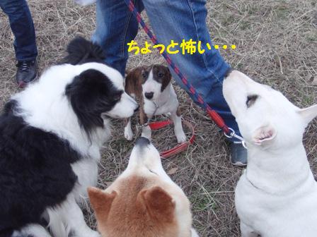 怖い