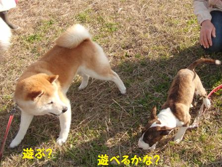 遊ぶ