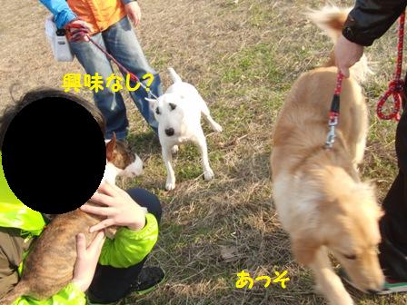 あっそ