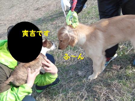 ふ~ん