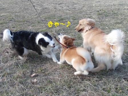 キャ~♪